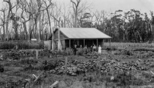 Settler's house and farm