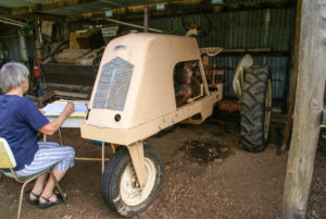 Newman 3-wheeler single cylinder diesel tractor